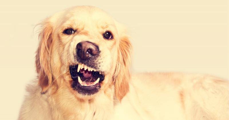 Ilustrasi - Freepik/Photoangel