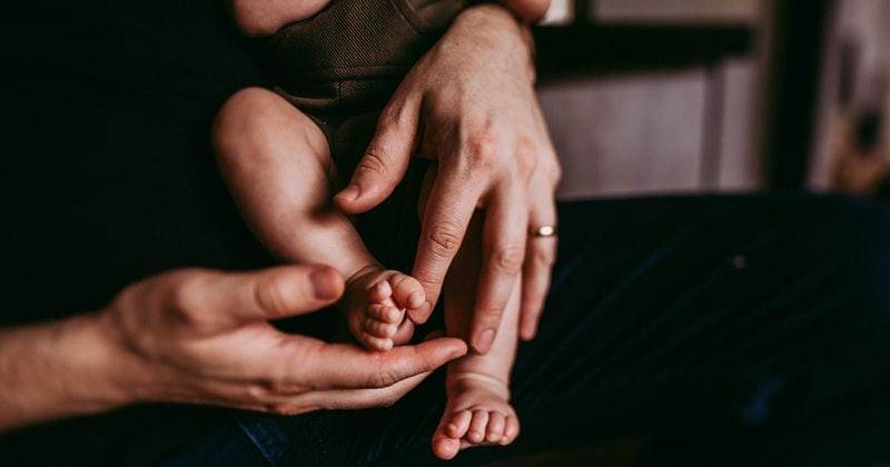 Pexels/wildlittlethingsphoto