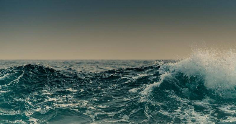 Ilustrasi - Unsplash/Mario Caruso