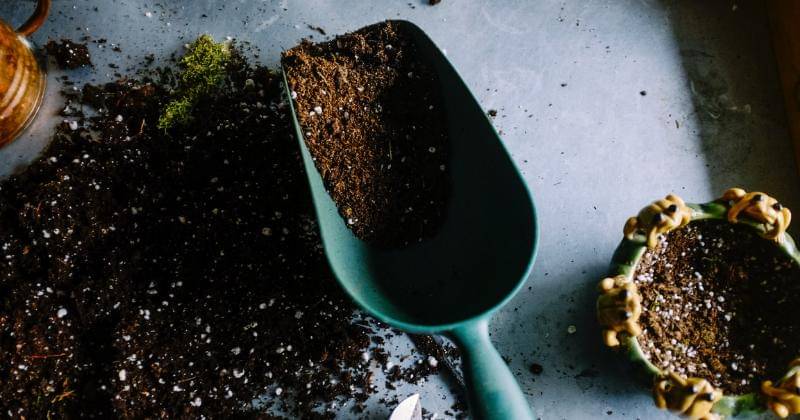 Unsplash/Neslihan Gunaydin