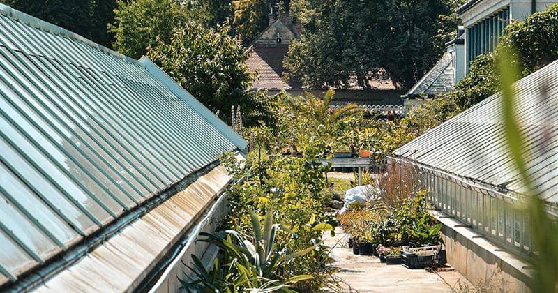 Unsplash/keszthelyi timi