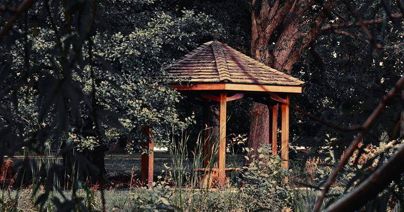 Unsplash/lukepeterson