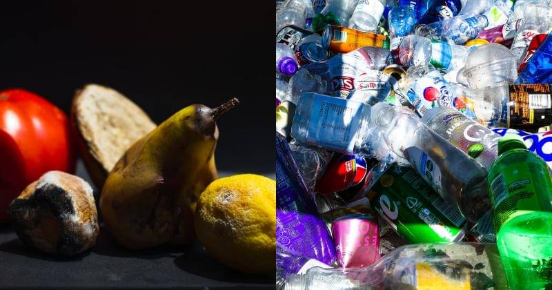 Unsplash/Anita Jankovic | Unsplash/Nick Fewings