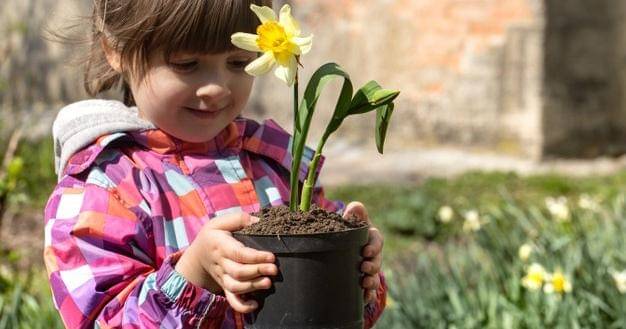 Freepik/Pvproduction