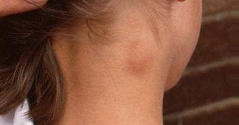 Newhealthadvisor.org