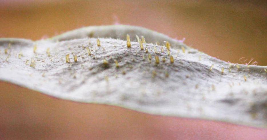 Pinterest.com/Marie Claire