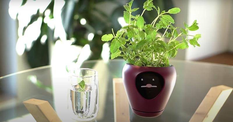 Youtube.com/IgorGabrielan