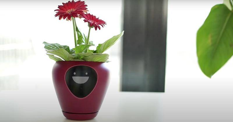 Youtube.com/IgorGabrielan