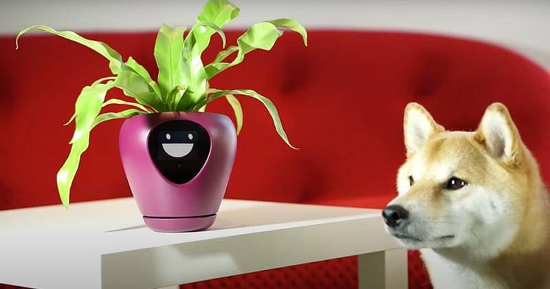 Youtube.com/IgorGabrielan