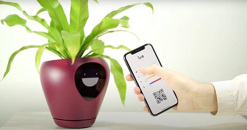 Youtube.com/IgorGabrielan