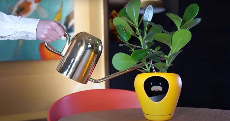 Youtube.com/IgorGabrielan