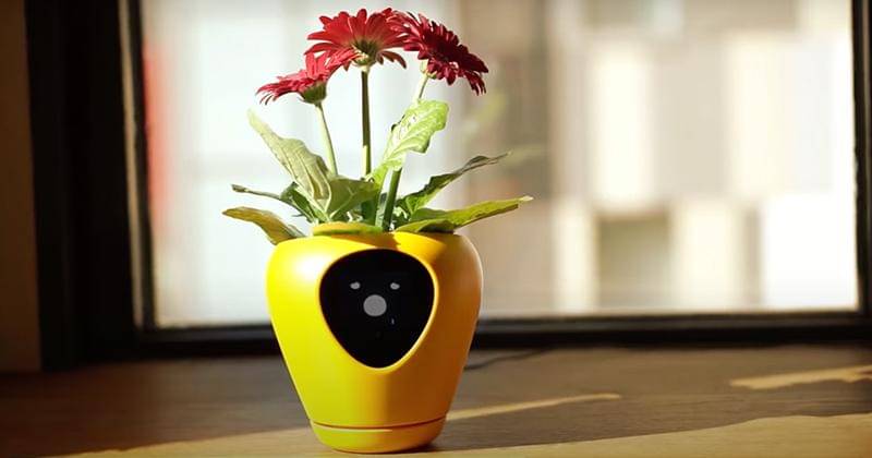 Youtube.com/IgorGabrielan