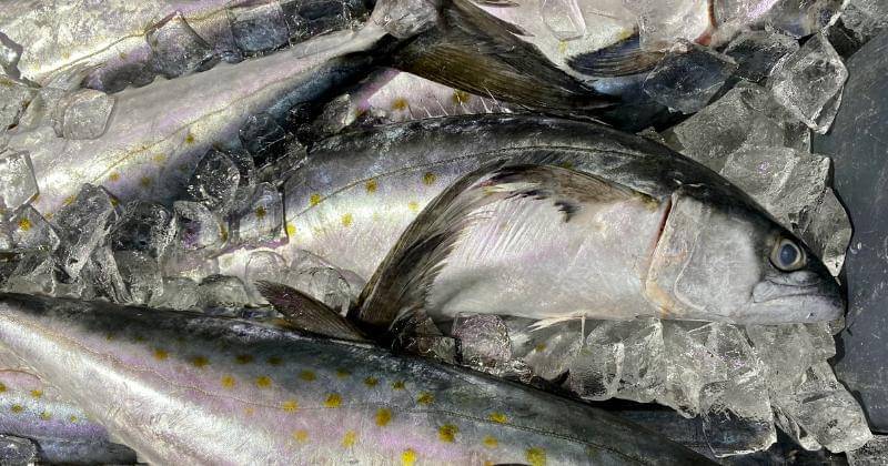 Unsplash/David Todd McCarty