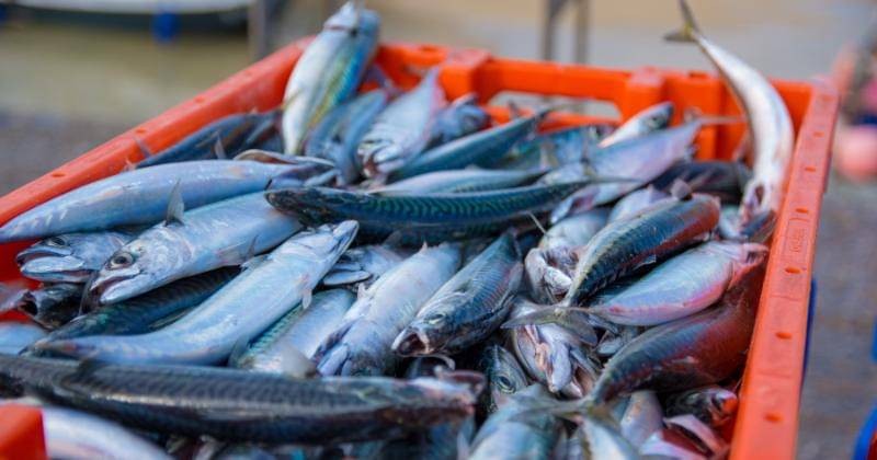 Unsplash/ Richard Bell