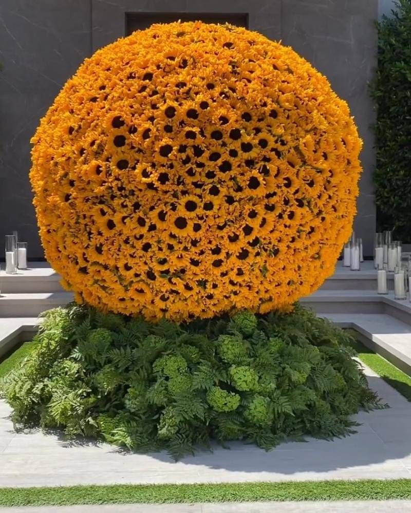 Instagram.com/kyliejenner