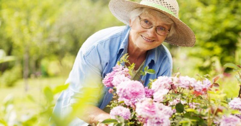 Freepik/gpointstudio