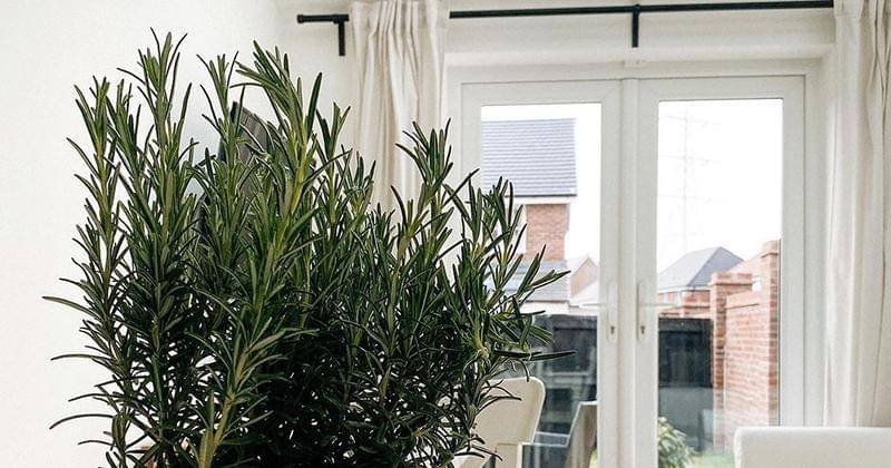 Instagram.com/31housetohome