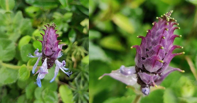 Instagram.com/reneesremakery