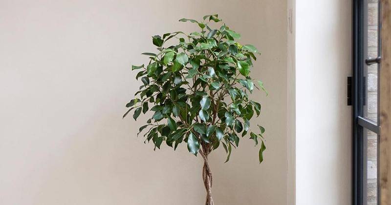 Instagram.com/ thevenetianpantry