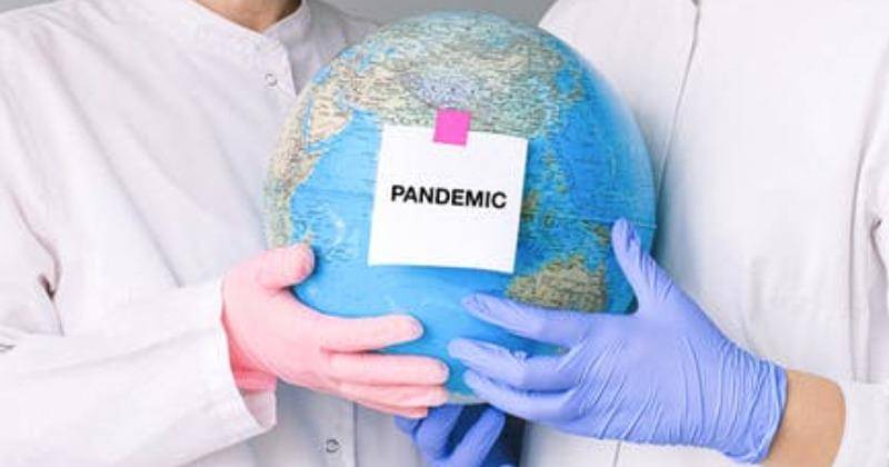 Unsplash/Anna Shvets