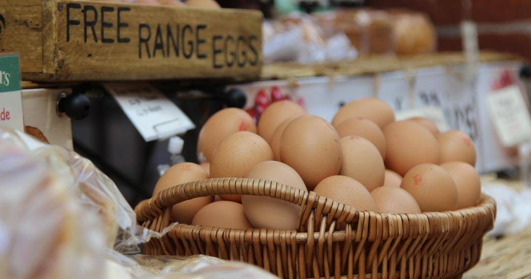 Pexels/Julian Schwarzenbach