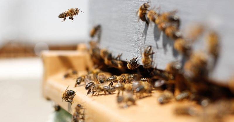 Unsplash/Damien TUPINIER