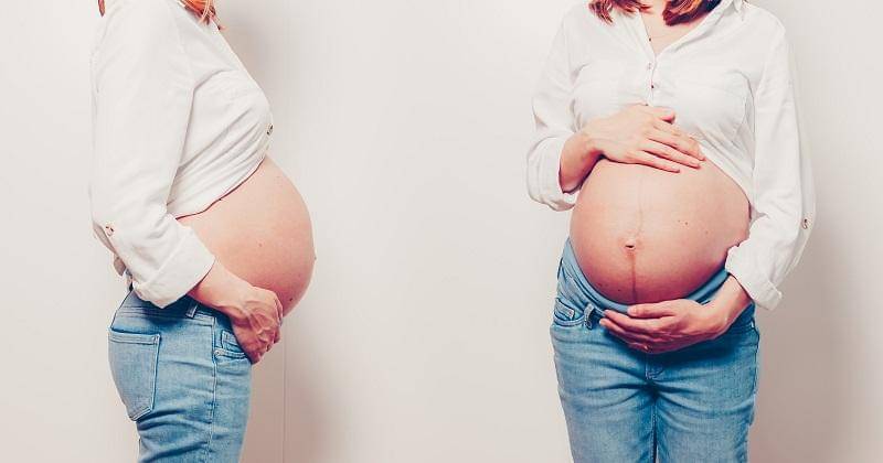 Unsplash/Ricardo Moura