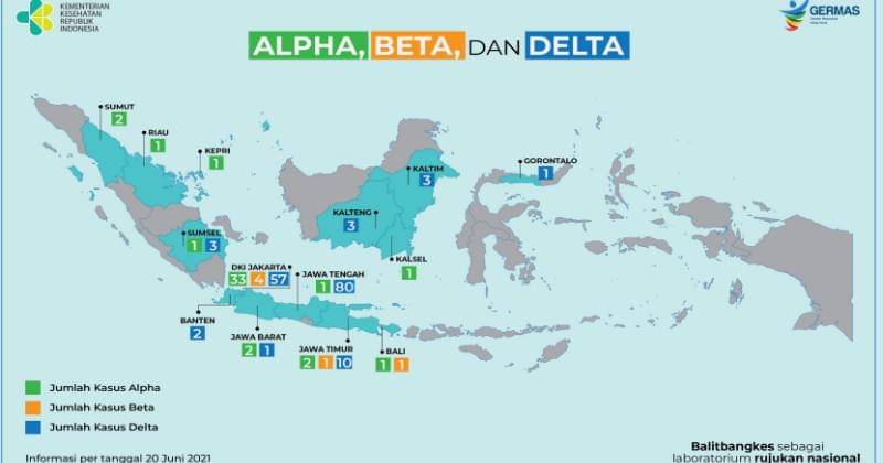 Data jumlah persebaran kasus aplha, beta, dan delta dari Litbang Kemkes. - litbang.kemenkes.go.id