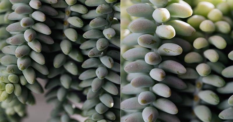 Pexels/KarolinaGrabowska