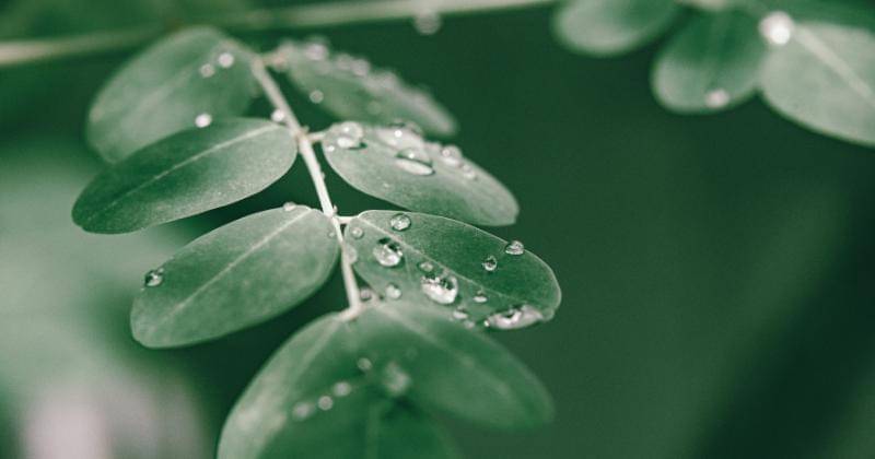 Pexels/Nothing Ahead