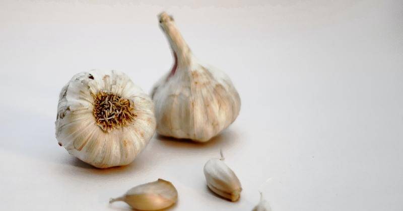 Unsplash/Sanjay Dosajh