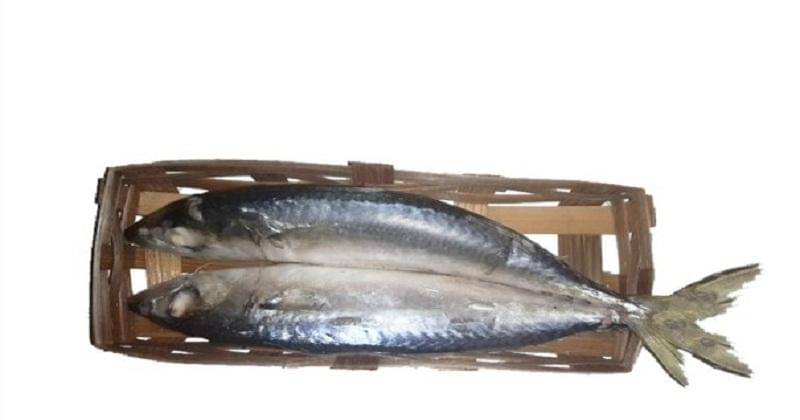 Tokopedia.com/pasardapurngepul