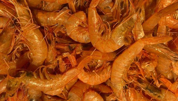 Unsplash/john Cameron