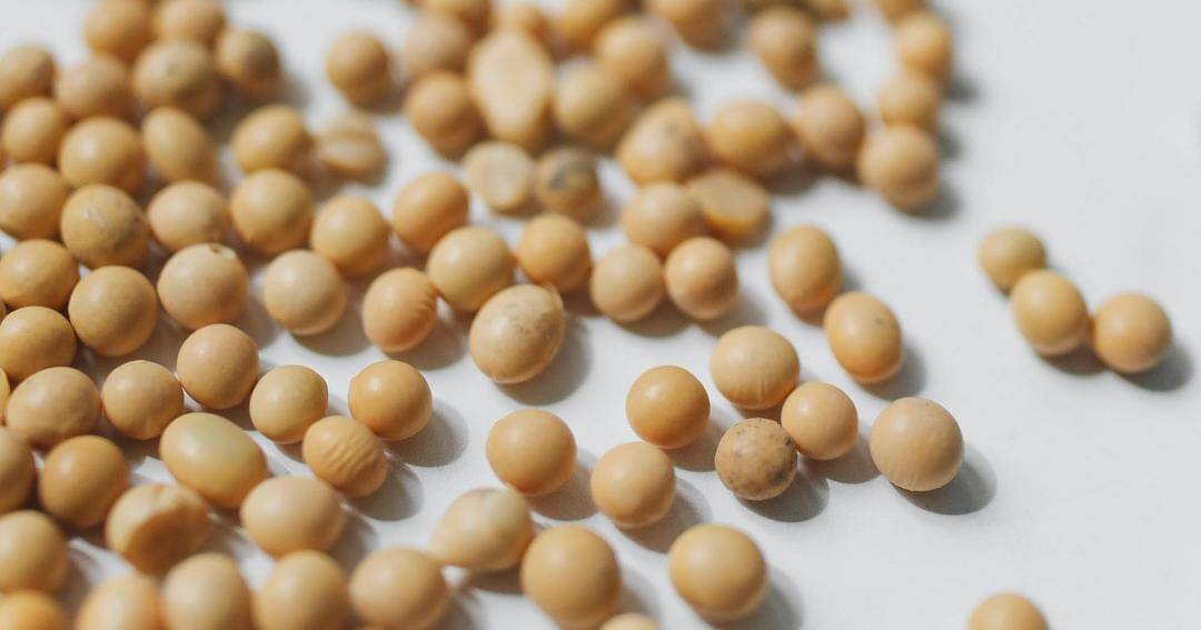 Pexels/Polina Tankilevitch