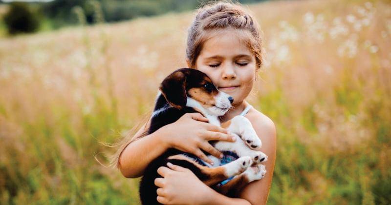 Freepik/freepic.diller