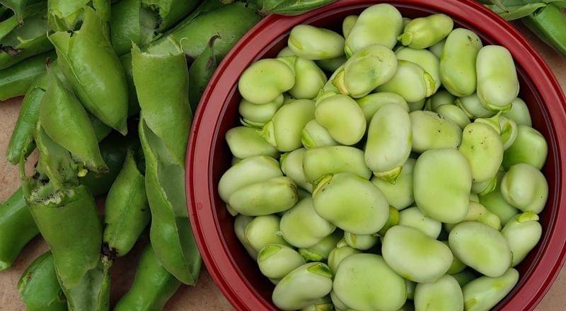 Pixabay/chrisreadingfoto