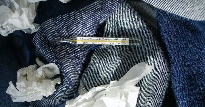 Pexels/polina-tankilevitch