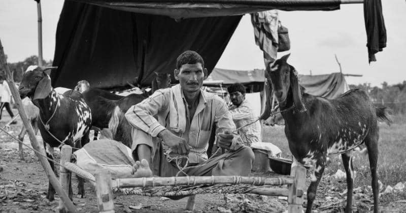 Unsplash/Jyotirmoy Gupta