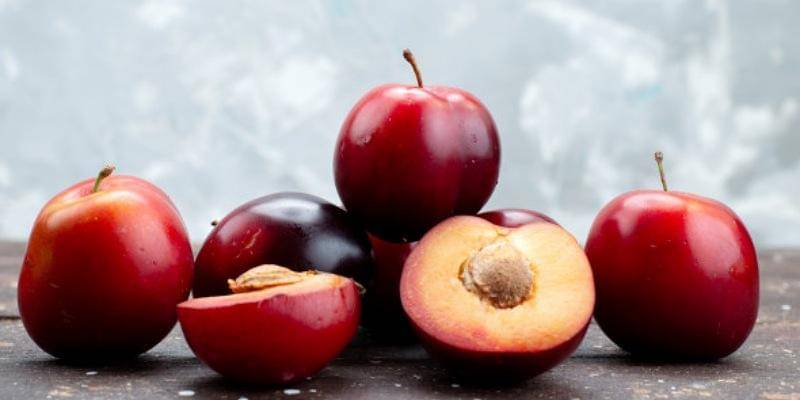 Freepik/KamranAydinov