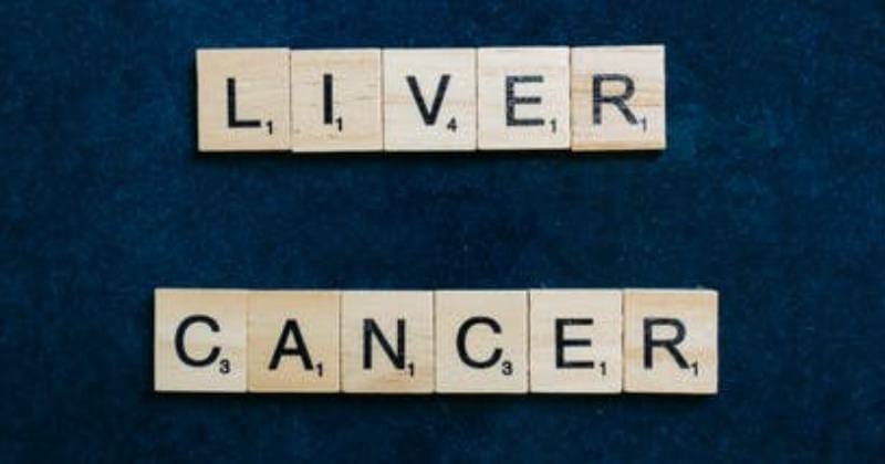 Pexels/Anna Tarazevich