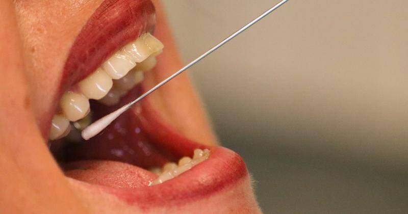 Ilustrasi - Pixabay/Tho-Ge