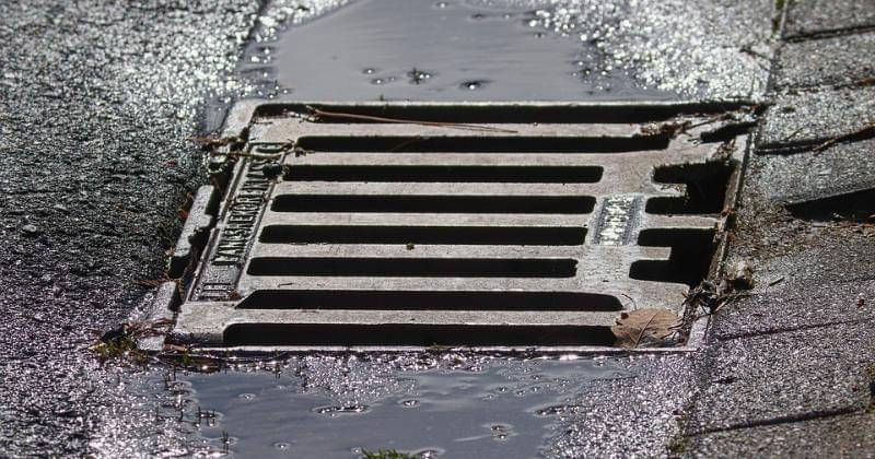 Pixabay/manfredrichter