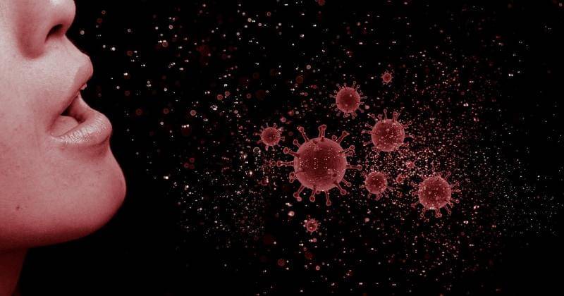 Ilustrasi - Pixabay/Mohamed_hassan