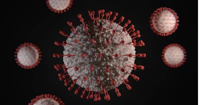 Ilustrasi - Unsplash/Viktor Forgacs