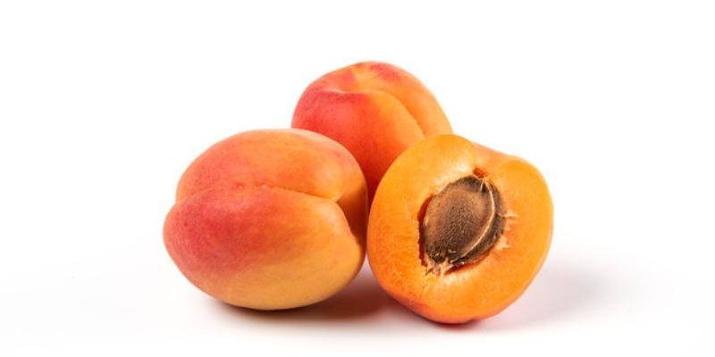 Freepik/azerbaijan_stockers