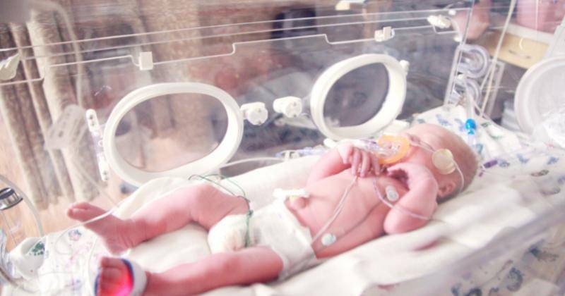 Unsplash/Sharon McCutcheon