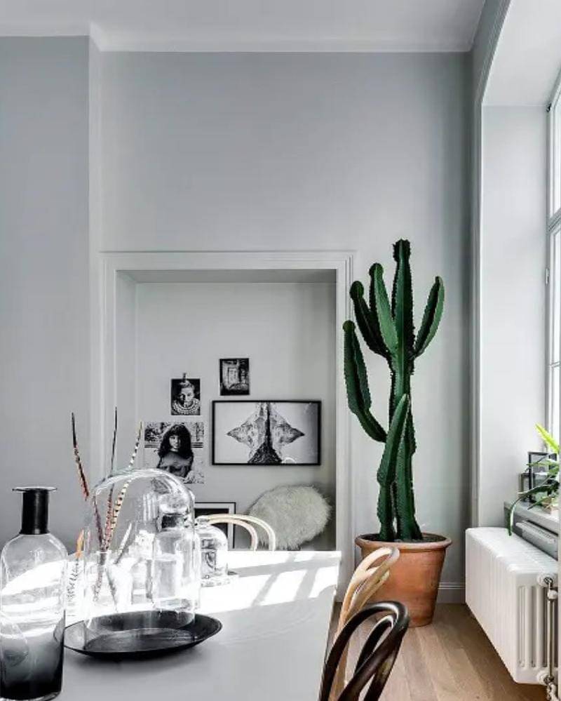 Balconygardenweb.com