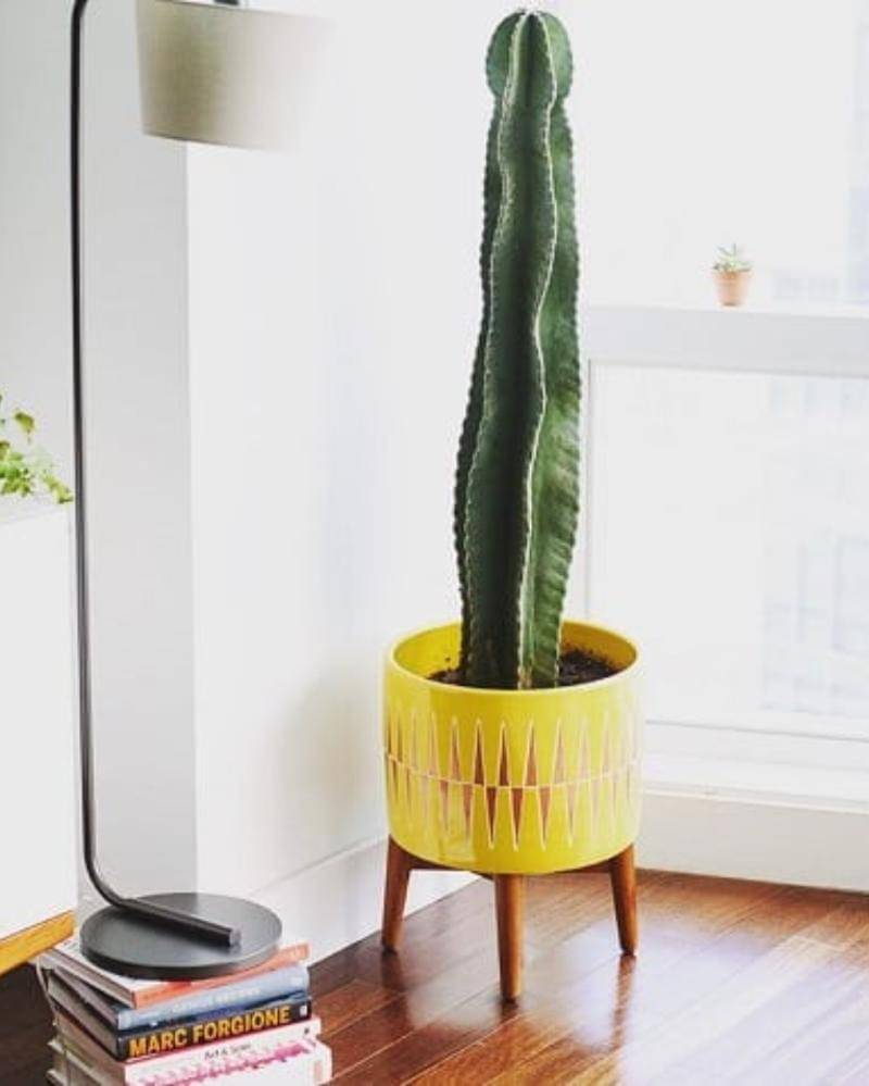 Balconygardenweb.com