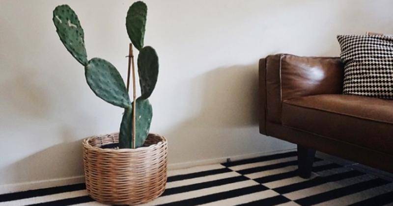 Permanentprocrastination.com/Tegan