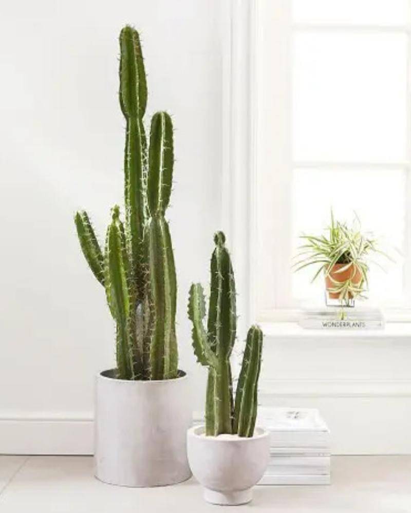 Balconygardenweb.com